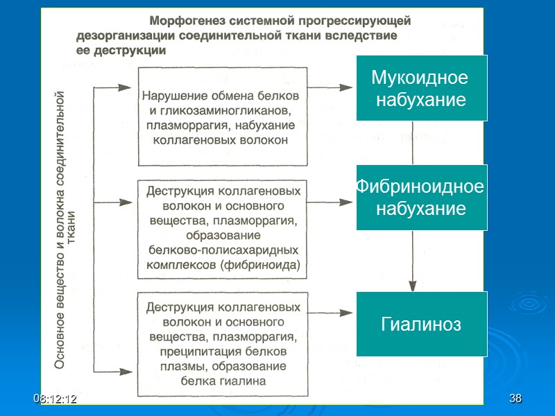 Мукоидное  набухание Фибриноидное  набухание Гиалиноз 08:12:01 38